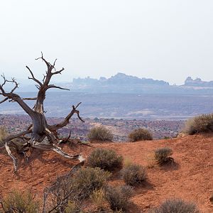 Arches National Park, Moab, UT