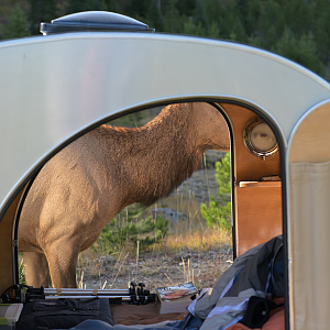 Timber Creek Campground