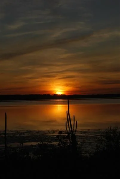 100 Nights - 1012.jpg