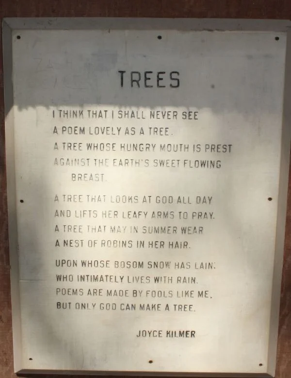 100 Nights - 2101.jpg