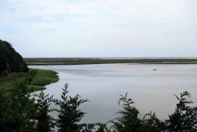 1261