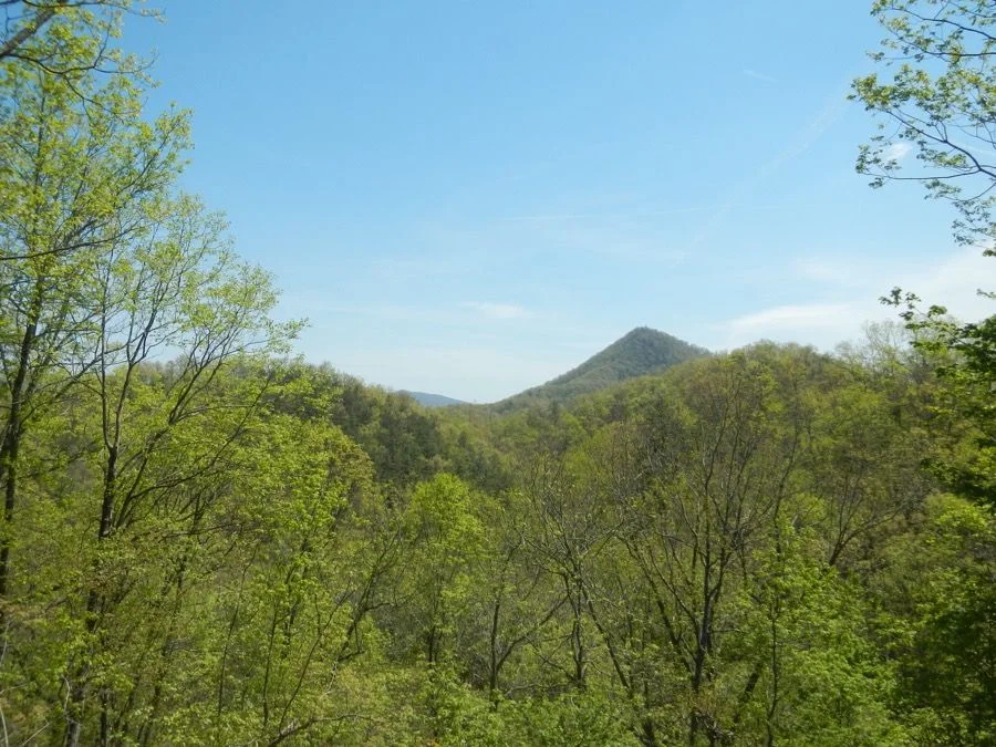 3175destination: Molly's Knob @ Hungry Mother SP