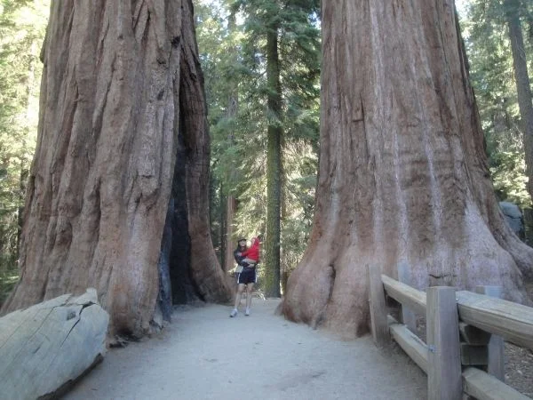 Long Haul - 1517.jpg