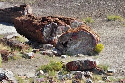 Long Haul - 1721.jpg