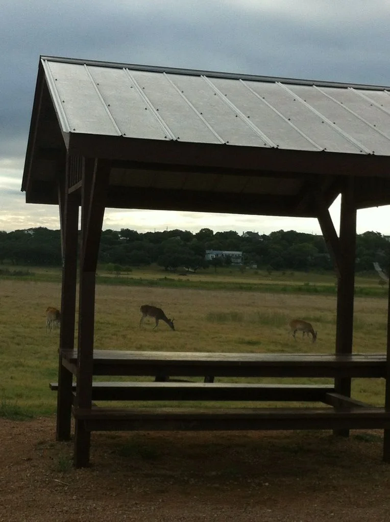 Long Haul - 1815.jpg