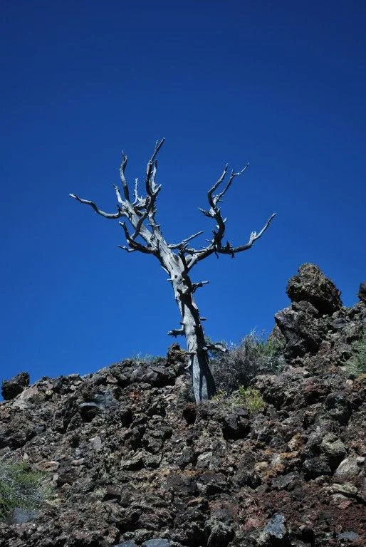 Long Haul - 1957.jpg