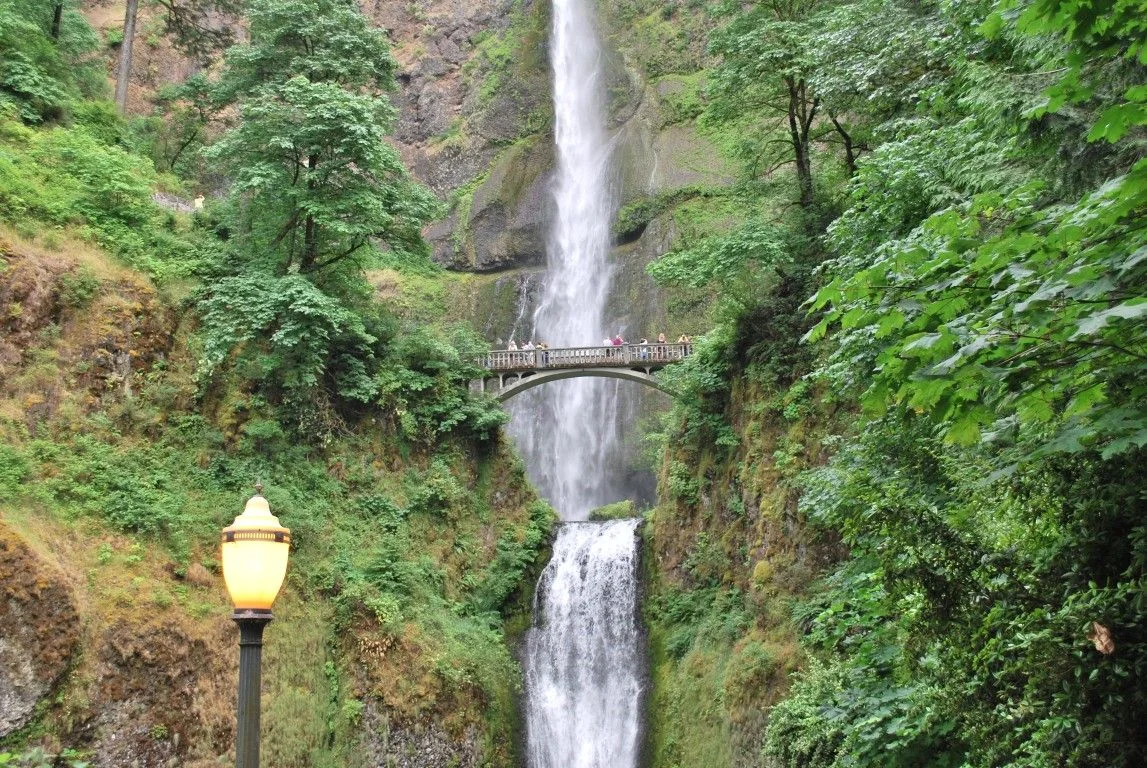 Long Haul - 1959.jpg