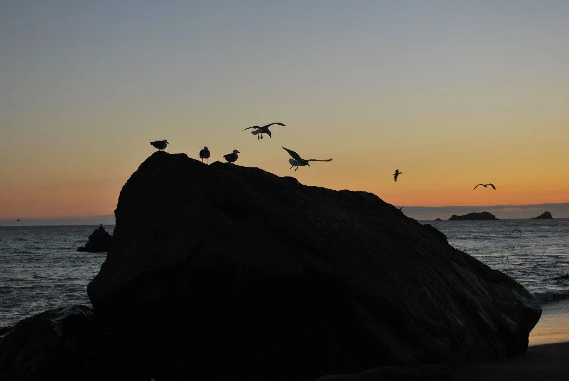 Long Haul - 1962.jpg