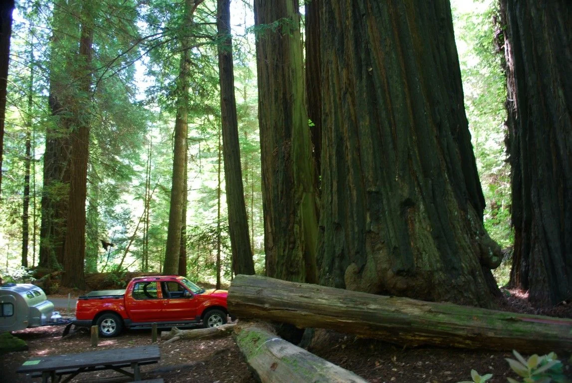 Long Haul - 1964.jpg