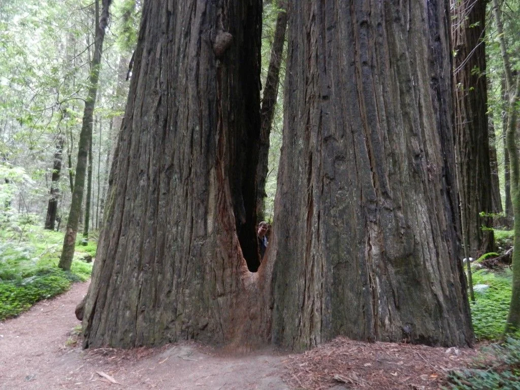 Long Haul - 1967.jpg