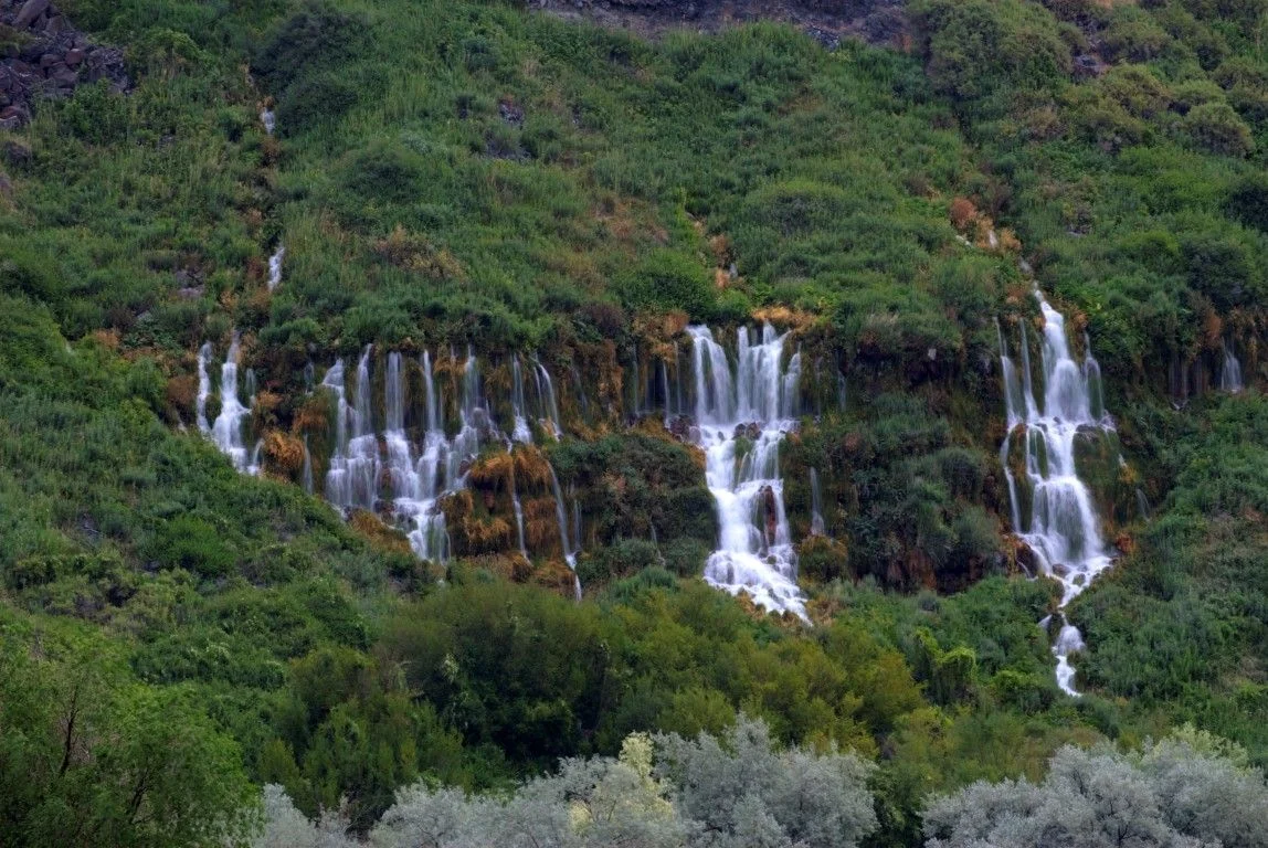 Long Haul - 1968.jpg