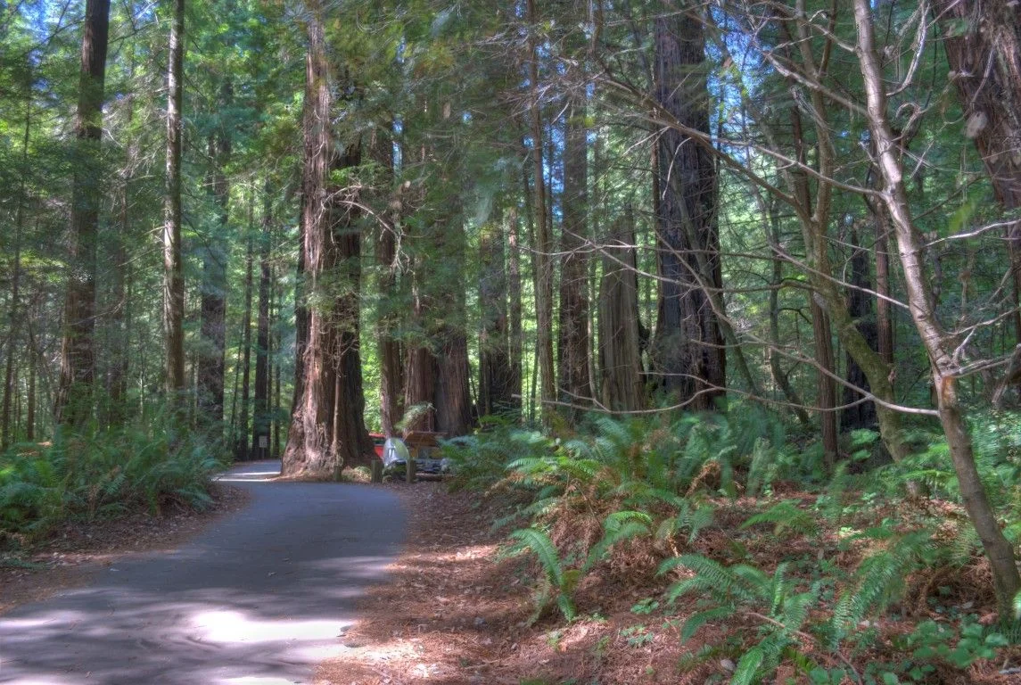 Long Haul - 1970.jpg