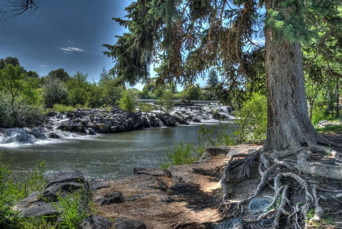 Long Haul - 1971.jpg