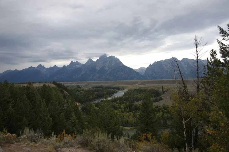 Long Haul - 2599.jpg