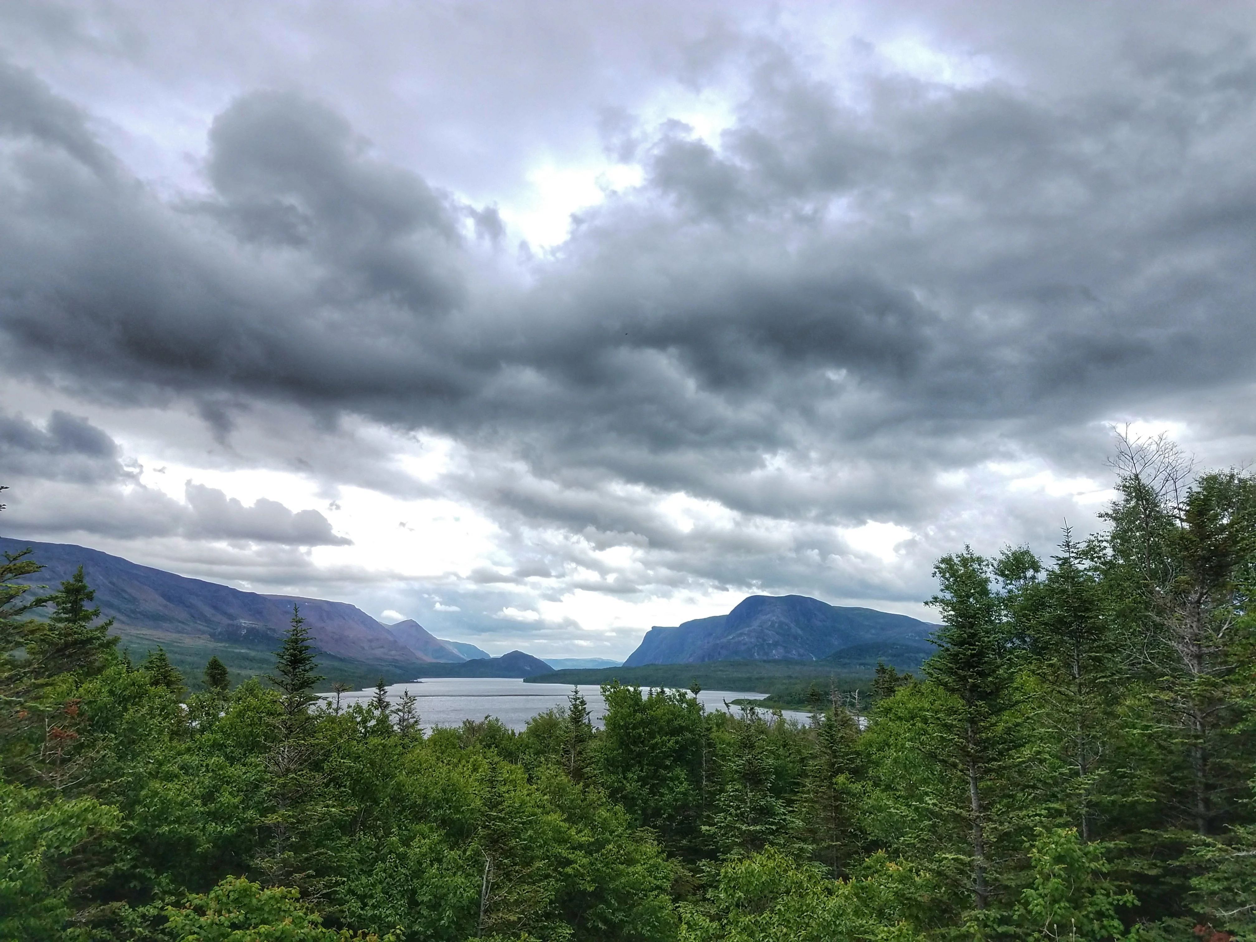 20180718_151949-02.webp