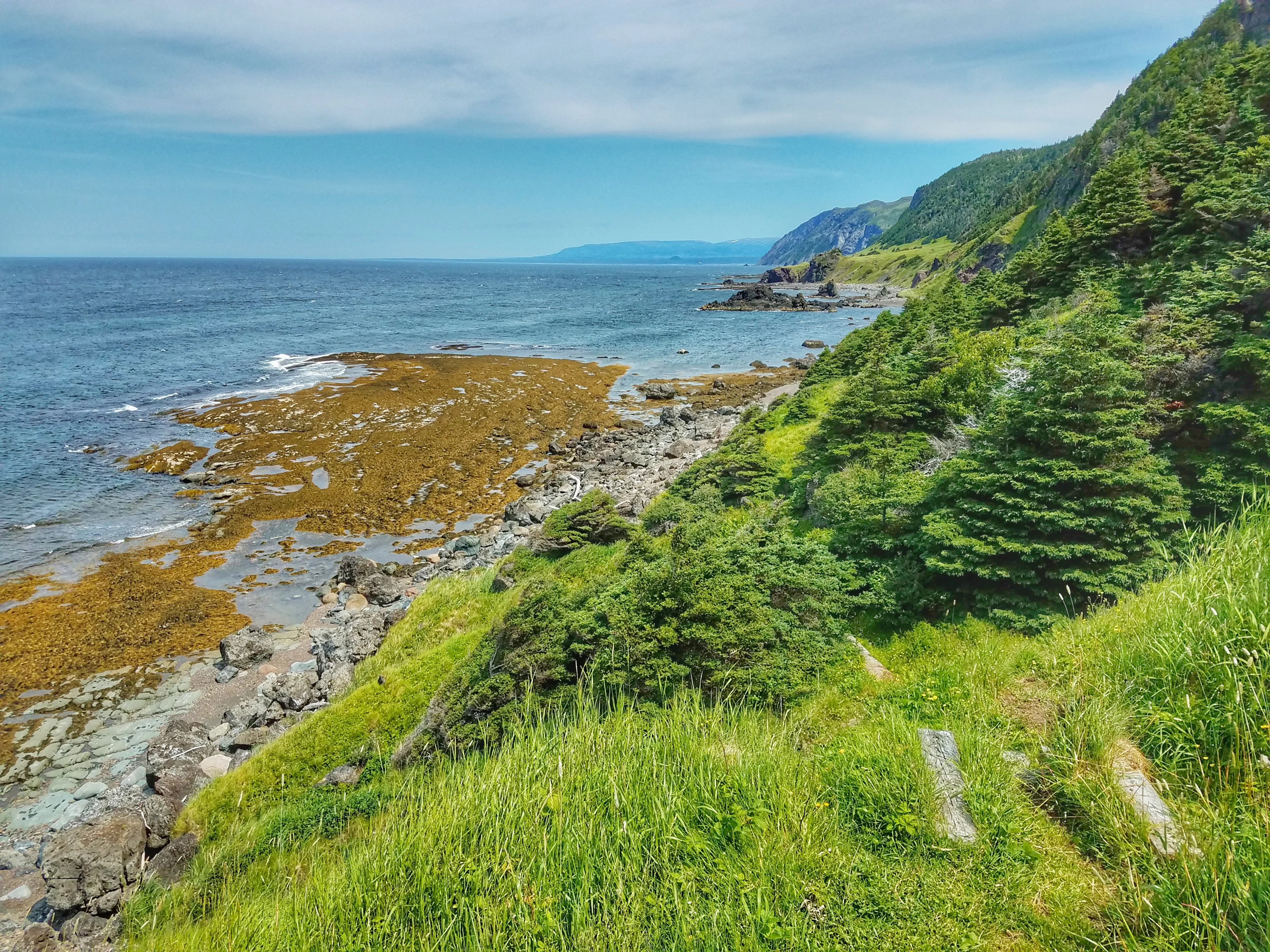 20180720_124916-01.webp