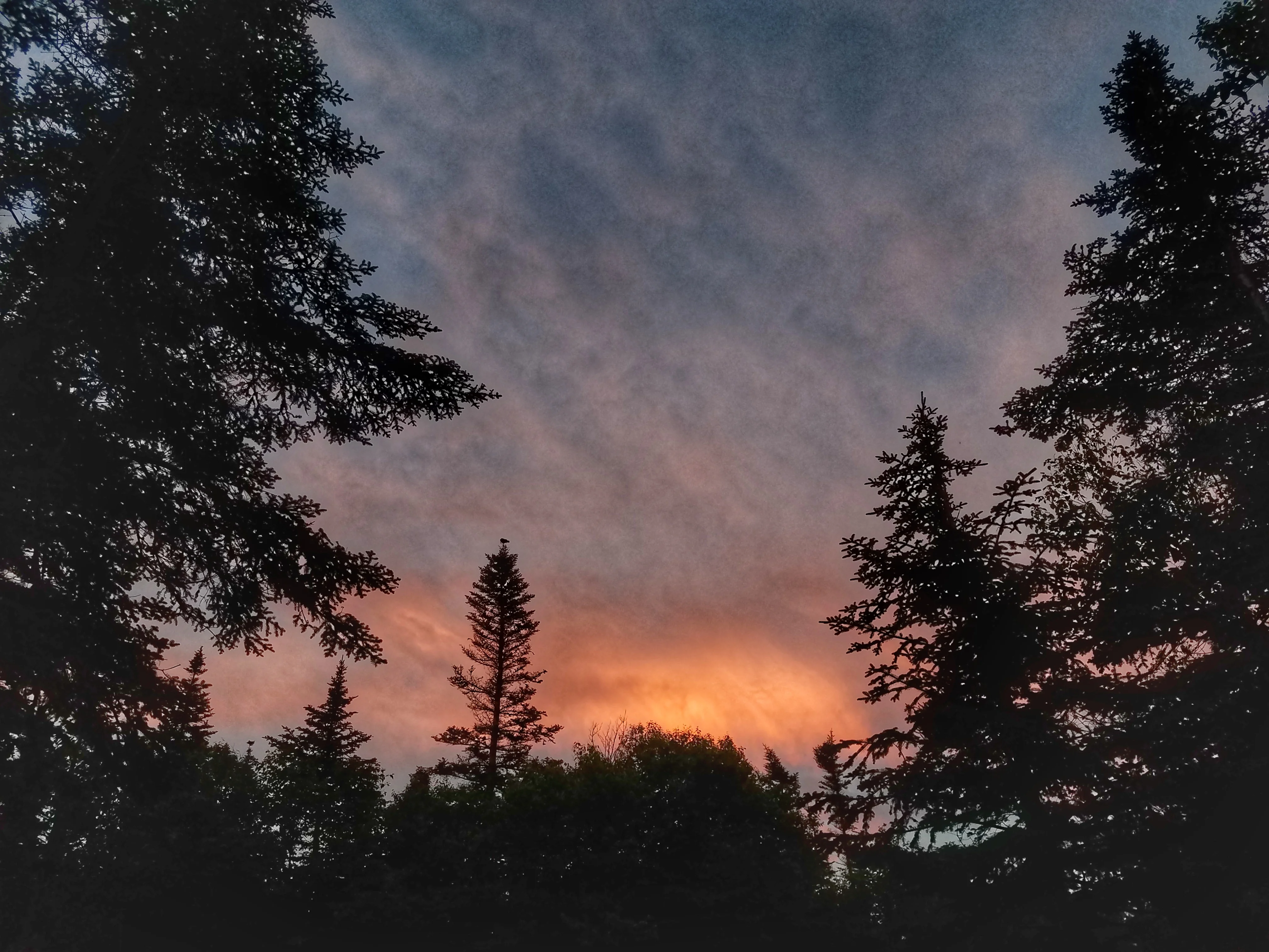 20180724_053750-01.webp