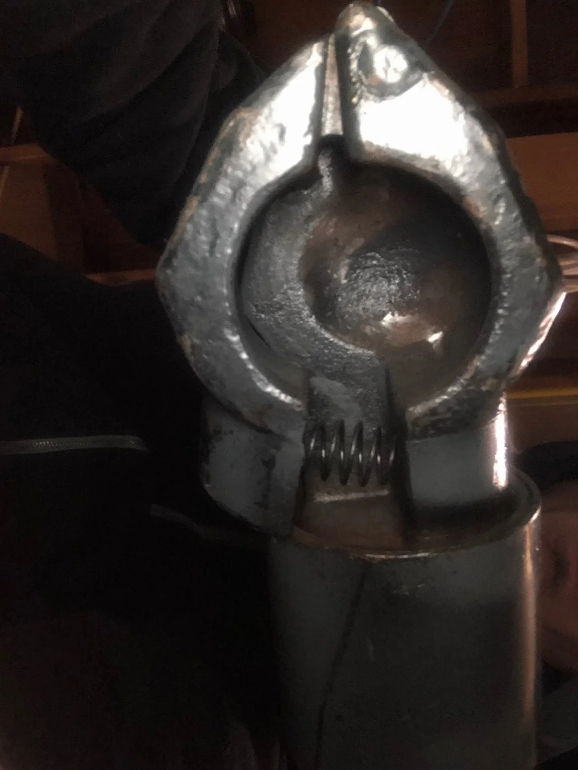 image3.webp