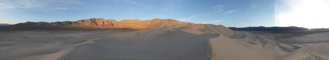 P1010661 (Medium).webp