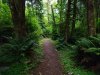 20160627_154423-02.webp