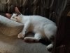 20160629_200101.webp