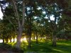 20160628_194444-01.webp