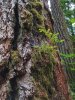 20160703_140934-02.webp
