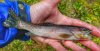 20160704_124423-01.webp