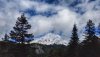 20160708_105342-01.webp
