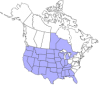 map.webp