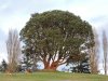 DSCN6980.webp