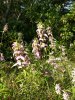 IMG_20180823_094400820.webp