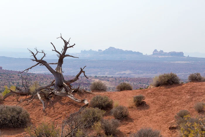 Arches National Park, Moab, UT