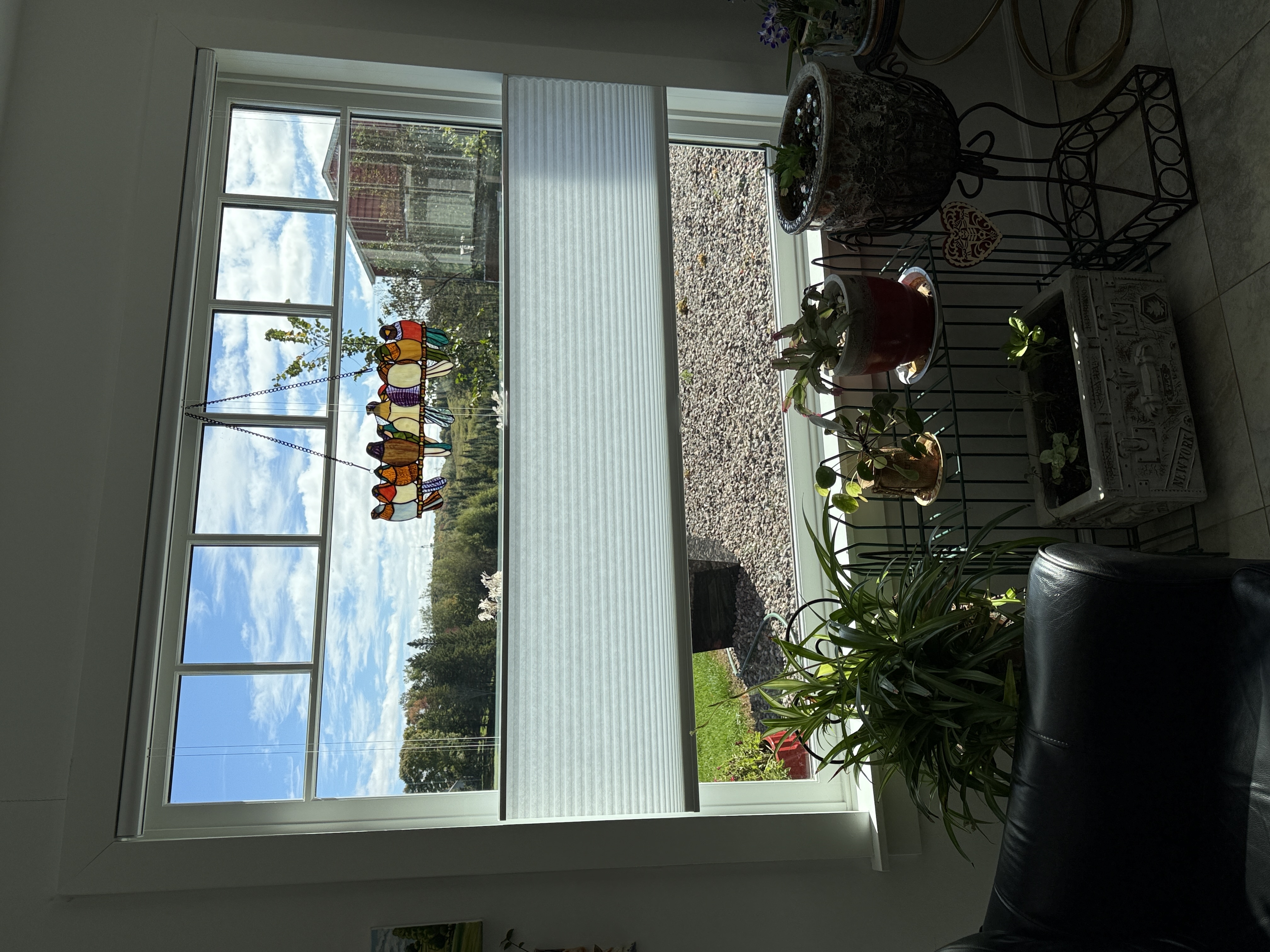 IMG_0671.jpeg