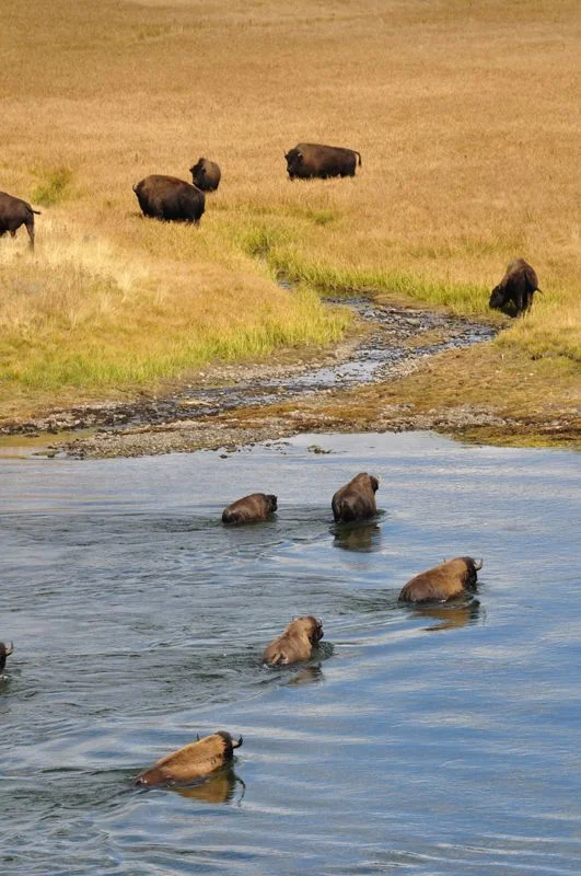 Long Haul - 1051.jpg